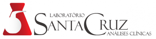 Logo SANTA CRUZ